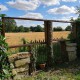 Manor Garden